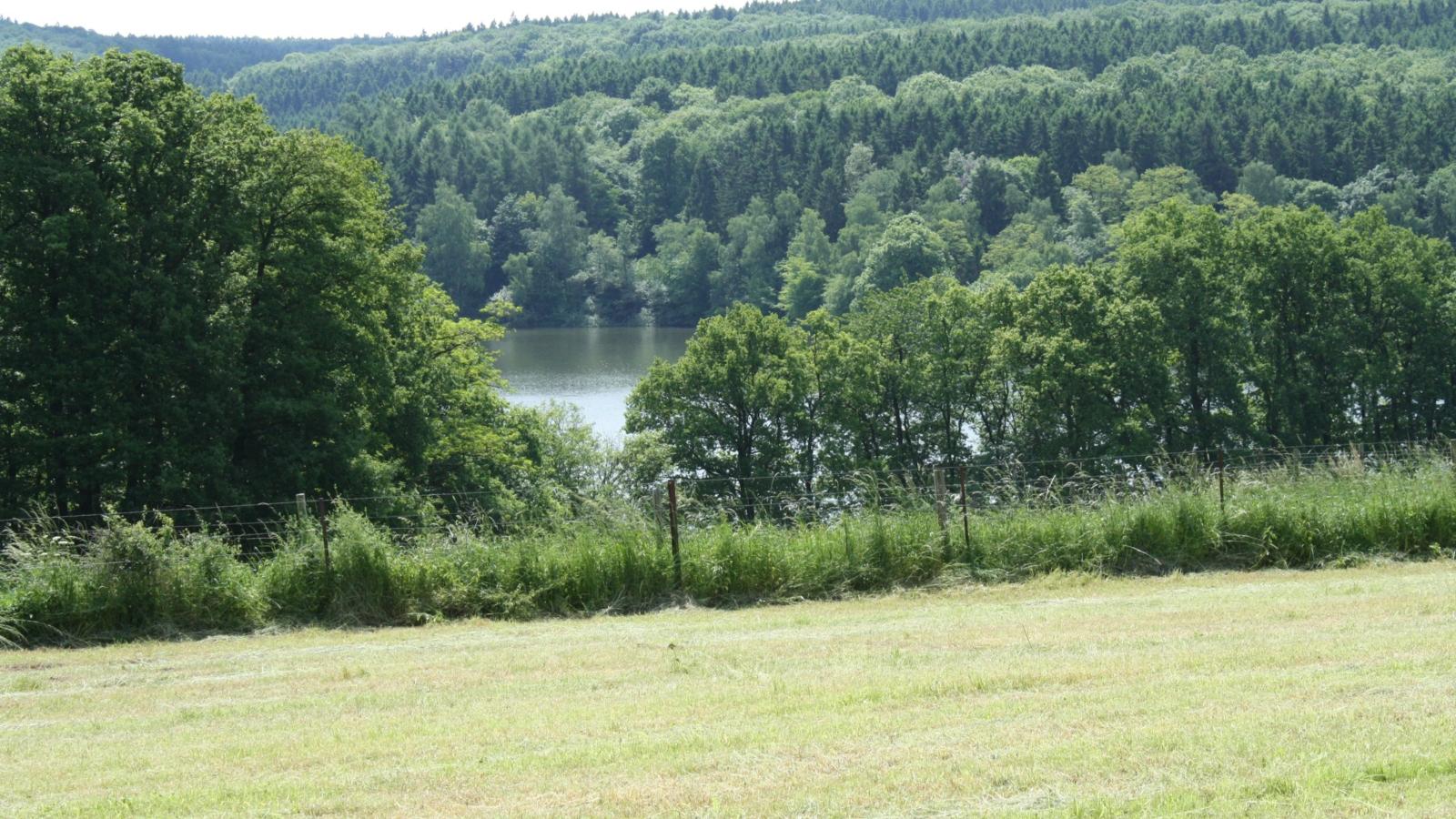 Der Stausee ist in den 1930er Jahren zur Brauchwasser-Versorgung der Euskirchener Tuchindustrie gebaut worden. Der im Wald gelegene See ist heute ein beliebtes Naherholungsgebiet. Ex-Bild-DB-ID: 1190